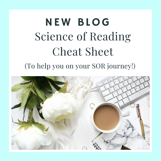Science of Reading terms you need to know