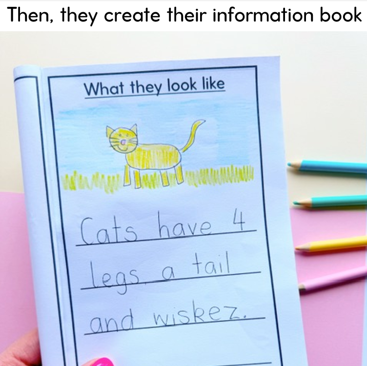 Foundation Informative Writing Unit | Animal Information Book | Australian