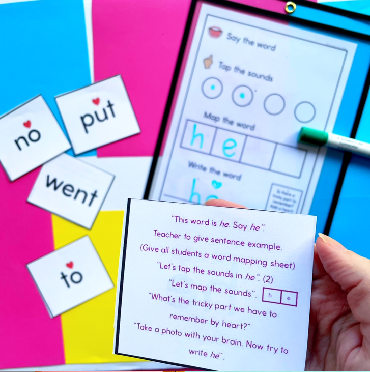 Small Reading Groups Bundle | CVC Words and Digraphs