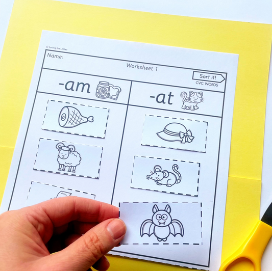 Sort It! Prep/Kindergarten CVC Rhyming Word Sort Worksheets | Word Family Activity